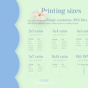 text detailing print sizes for wall art. Includes 6 high-resolution JPEG files in various ratios, with measurements in inches and centimeters