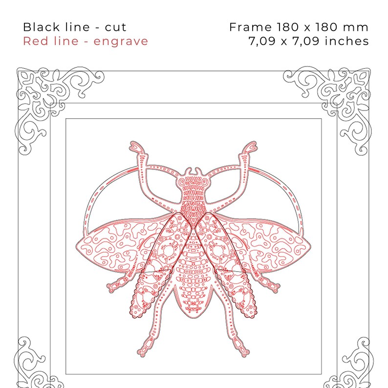 Beetle Laser Cut File – Engraved Insect Wall Art With Frame – DIY ...
