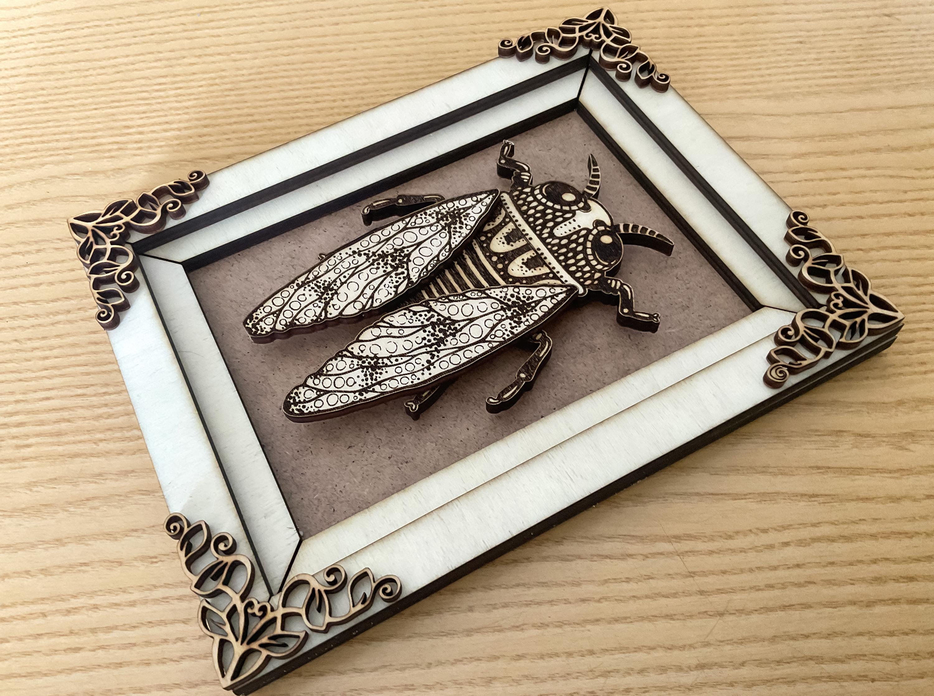 Layered Cicada Laser Cut File – Engraved Insect Wall Art With Frame ...