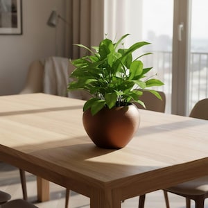 May include: A potted plant with vibrant green leaves sits on a light-colored wooden table. The plant is in a round, brown ceramic pot. The table is surrounded by chairs, and a window is visible in the background.