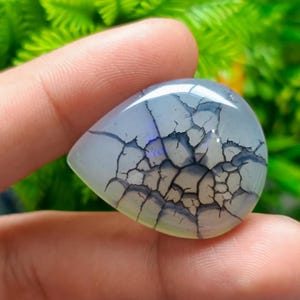 May include: A teardrop-shaped gemstone with a cracked, web-like pattern in dark grey against a pale blue background. The polished stone has a glossy finish, and the edges are rounded. The gemstone is held in a hand.