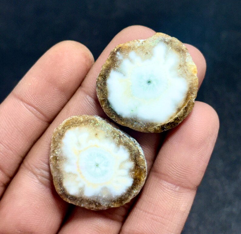 May include: Two polished, round gemstones with a white, starburst pattern center and a brown outer edge. The gemstones are held in a hand, showcasing their natural colors and textures. The stones have a unique, organic appearance.
