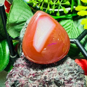 Op de afbeelding: Een druppelvormige, gepolijste edelsteen met een levendige rood-oranje tint. Een wit, geometrisch patroon is zichtbaar in de steen. De edelsteen ligt op een donker, getextureerd oppervlak, omringd door groene bladeren en gele bloemen.