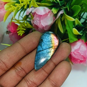 May include: A polished, teardrop-shaped labradorite gemstone. The stone displays a vibrant play of colour, with hues of blue, yellow, and pink. The gemstone is held in a hand, with a floral background of pink and green.