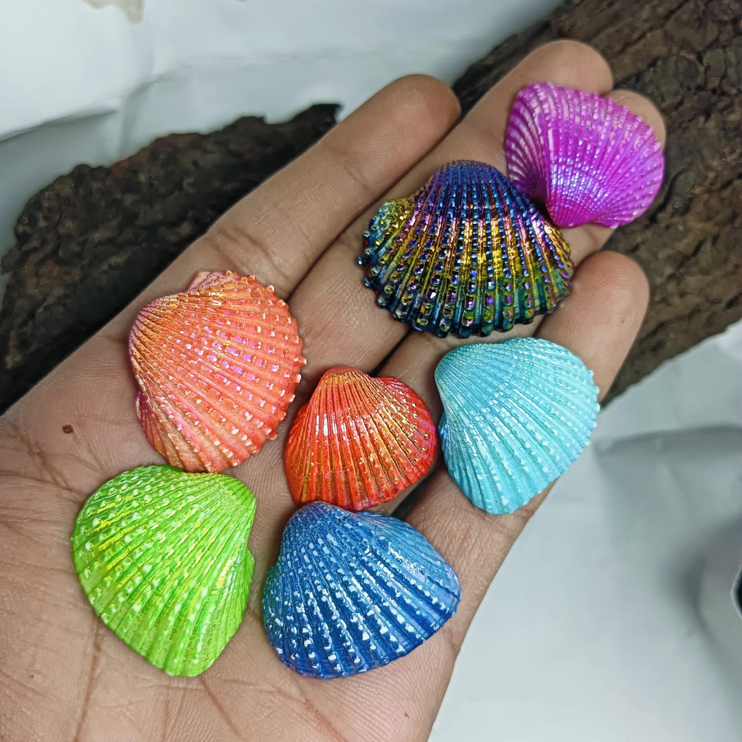Titanium Shells Rainbow Titanium Coated Seashells • Natural Sea Shell Lot • Colorful ...