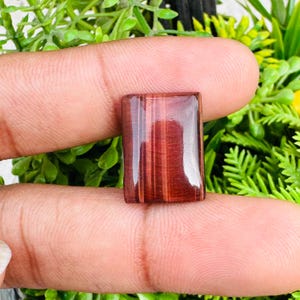Könnte beinhalten: Ein rechteckiger, polierter Edelstein in einem satten, rotbraunen Farbton mit vertikalen Streifen. Der Stein wird zwischen Fingern gehalten, vor dem Hintergrund grüner Blätter. Die Oberfläche des Edelsteins reflektiert das Licht und hebt seine natürlichen Muster hervor.
