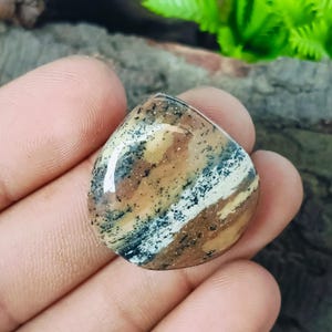 Puede incluir: Una gema pulida en forma de lágrima. La piedra presenta una mezcla de colores marrón, beige, negro y blanco, con un diseño moteado. La gema se sostiene en una mano, resaltando su tamaño y forma. La superficie de la piedra es brillante.