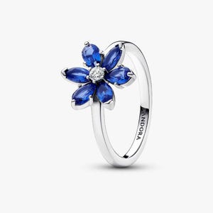 Può includere: Anello in argento con design floreale. Il fiore ha sei gemme blu che circondano una gemma centrale trasparente. La fascia dell'anello è lucida, con "PANDORA" incisa sul lato. Un gioiello delicato.