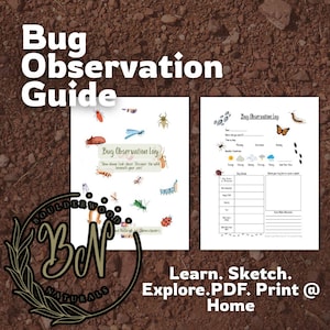Bug Observation Log Printable | Nature Journal Page for Kids | Insect Study | Homeschool Science Activity | Backyard Bug Hunt Tracker