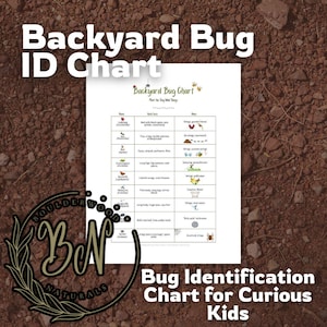 Bug ID Chart Printable | Backyard Bug Identification Sheet for Kids | Nature Journal Page | Homeschool Science Activity | Insect Study PDF