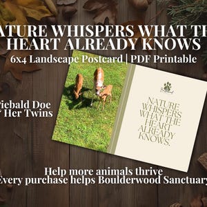 May include: A 6x4 inch landscape postcard with the text "Nature Whispers What The Heart Already Knows." The postcard features a photo of two deer on green grass. The text "Piebald Doe & Her Twins" is also present.