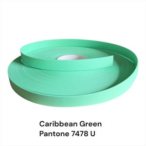 Puede incluir: Un rollo de ribete decorativo verde Caribe, Pantone 7478 U. El ribete es de un color verde claro vibrante y est&aacute; enrollado en espiral. El texto "Caribbean Green Pantone 7478 U" se muestra debajo.