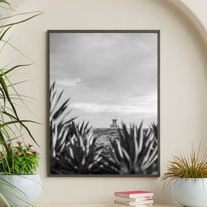 Lifeguard Tower Black and White Print – Newport Beach Wall Art, Coastal Photography, Minimalist Palm Decor, Southern California Print