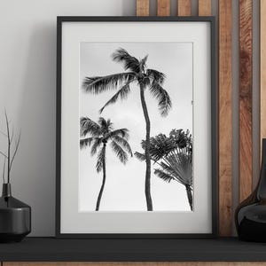 Impressão de palmeira em preto e branco – Arte de parede tropical minimalista, Fotografia de praia monocromática, Decoração costeira, Pôster moderno de natureza
