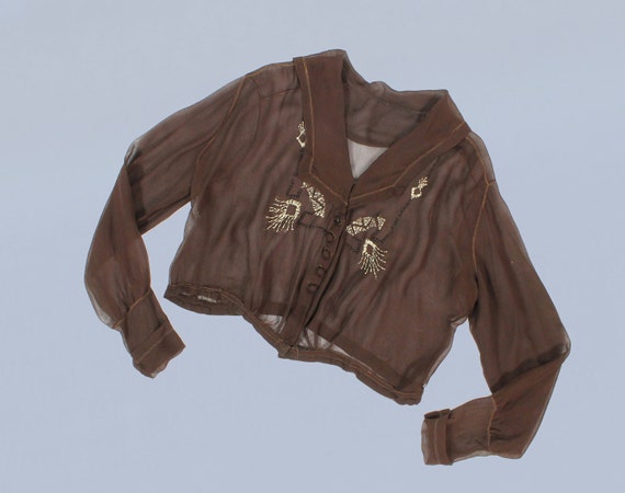 1920s Blouse / 20s Sheer Silk Chiffon Beaded Embro