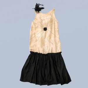 RARE 1920s SPIDER and Web Gender Bending Dress / 1920s Stage Costume Dress / Incredible 20s Drag Crossdressing Piece!