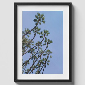 Minimalist Palm Tree Printable Wall Art, Tropical Botanical Print, Neutral Palm Leaf Poster, Boho Nature Decor, Modern Living Room Bedroom
