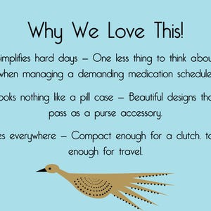 Blue background image that says "Why We Love this" - this image says "Simplifies hard days — One less thing to think about when managing a demanding medication schedule. Looks nothing like a pill case — Beautiful designs that pass as a purse accessory. Goes everywhere — Compact enough for a clutch, tough enough for travel."