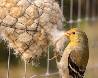 Corazones para nidos de pájaros de fibra de alpaca 100% – Suministros naturales para jardines y fauna silvestre