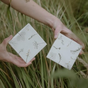 Peut inclure: Deux carreaux de céramique carrés avec des motifs botaniques sont tenus devant de hautes herbes vertes. Les carreaux ont un fond vert clair avec des motifs floraux et de feuilles gris et jaunes délicats.