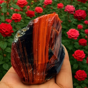 Può includere: Una gemma lucidata con un sorprendente motivo a strisce arancioni e nere. La pietra è tenuta in mano, con uno sfondo di vibranti rose rosse in piena fioritura, creando un contrasto di trame e colori.