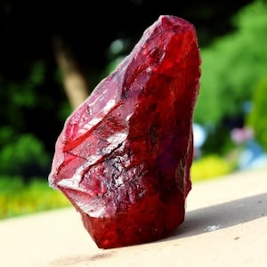 May include: A large, raw ruby gemstone with a deep red color. The rough-cut stone has a textured surface and irregular shape, catching the light. The background is blurred, with green foliage.