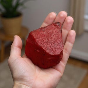 Può includere: Una roccia rossa ruvida con una superficie strutturata. La roccia è tenuta in una mano aperta, mostrando la sua forma irregolare e la sua tonalità rosso intenso. Lo sfondo mostra una stanza sfocata con una pianta.