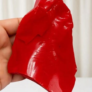 Large Italian red coral rough specimen with vivid red appearance, approximately 1350ct total for lapidary and jewelry making.
