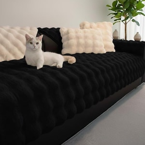 May include: A black sofa cover with a textured, wavy design, complemented by cream-coloured, fluffy cushions. A white cat with tan patches rests on the sofa. The cushions and cover create a cosy, inviting aesthetic.
