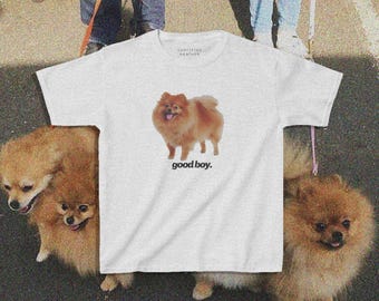 Pomeranian Baby Tee, Pomeranian Shirt, Good Boy Baby Tee, Good Boy, Vintage Dog Shirt, Pomeranian Graphic Tee