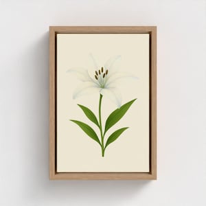 Framed White Lily Canvas Print: Giclée Floral Wall Art
