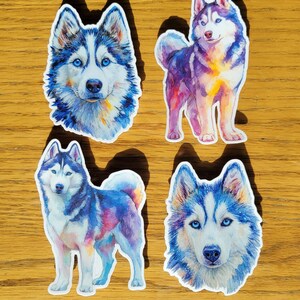 May include: Four watercolor-style stickers of Siberian Huskies. Two stickers are close-up portraits of the dogs' faces, showcasing blue eyes and detailed fur. The other two stickers depict full-body poses, with colorful accents.