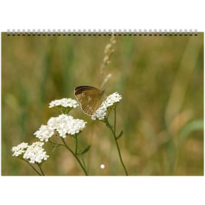Butterflies & Flowers Wall Calendar 2026