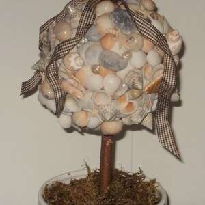 May include: A decorative seashell topiary with a brown and white checkered ribbon. The topiary is in a white pot with brown moss.