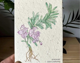 Tarjeta de felicitación con semillas de romero para plantar (flor silvestre)