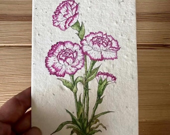 Tarjeta de felicitación con semillas de clavel silvestre para plantar