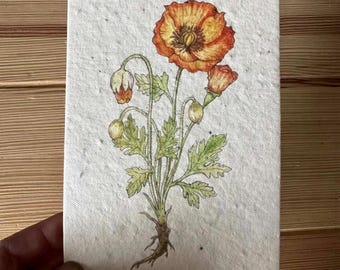 Tarjeta de felicitación con semillas de amapola naranja para plantar.