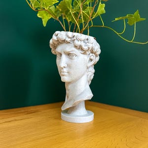 Könnte beinhalten: Eine hellgraue Büste von David, die als Pflanzgefäß verwendet wird, enthält grünen und gelben Efeu. Die Büste steht auf einem kleinen, runden Sockel. Der Hintergrund ist eine dunkelgrüne Wand, und die Büste steht auf einer Holzoberfläche.