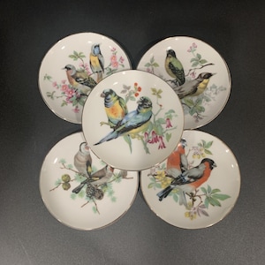 Set of 5 Vintage Japanese Bird Plates | 4” Decorative Wall Plates with Gold Trim | Collectible Miniature Plates