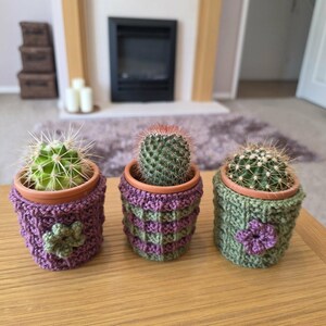 May include: Three small potted cacti in terracotta pots, each covered with a textured, hand-knitted cozy. The left cozy is purple with a green flower, the center is purple and green striped, and the right is green with a purple flower.