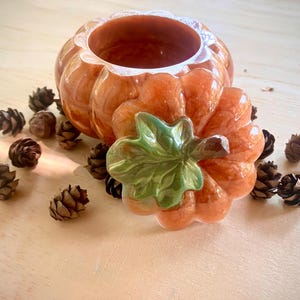 Puede incluir: Un recipiente decorativo en forma de calabaza naranja con una tapa extraíble, con un asa en forma de hoja verde y marrón. Pequeños conos de pino están esparcidos alrededor de la base del recipiente. Decoración de temporada.