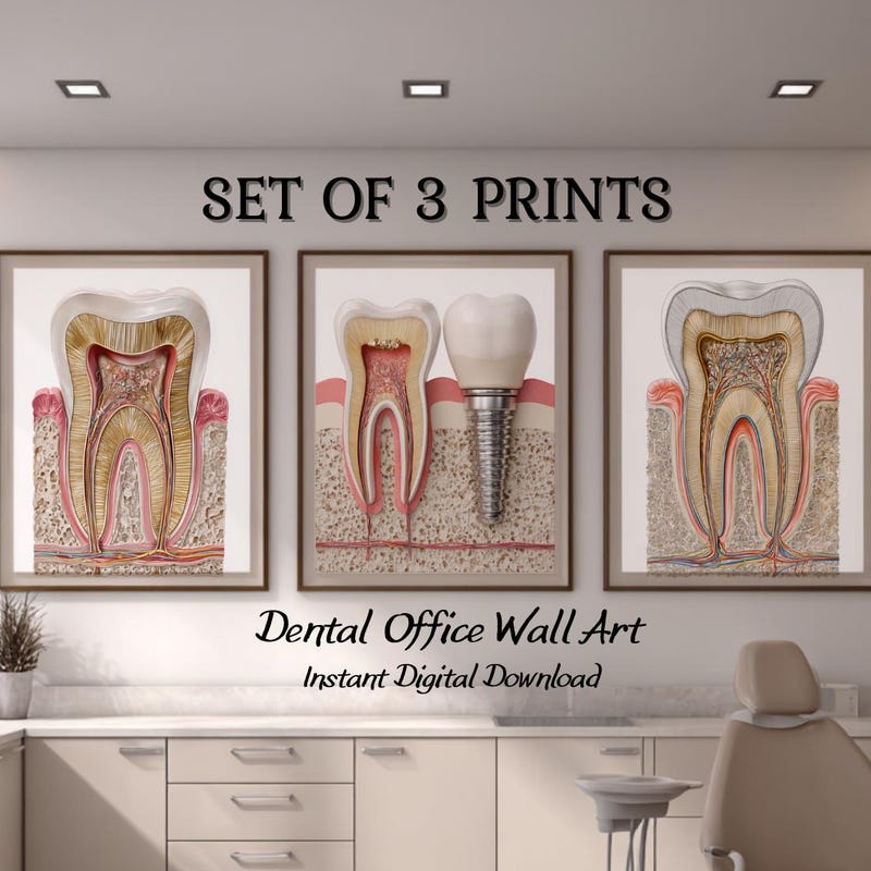 Anatomy Pictures Modern - Etsy