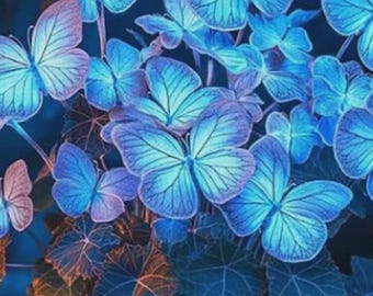 Plant Seeds Hosta Plantaginea Garden Flowers 50PCS Perennials Blue Hosta Rare