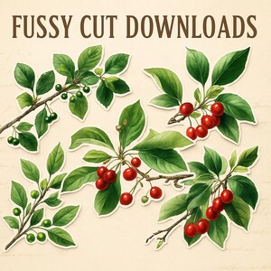 Vintage Botanical Print: Red Berry Branch Illustration (Digital Download
