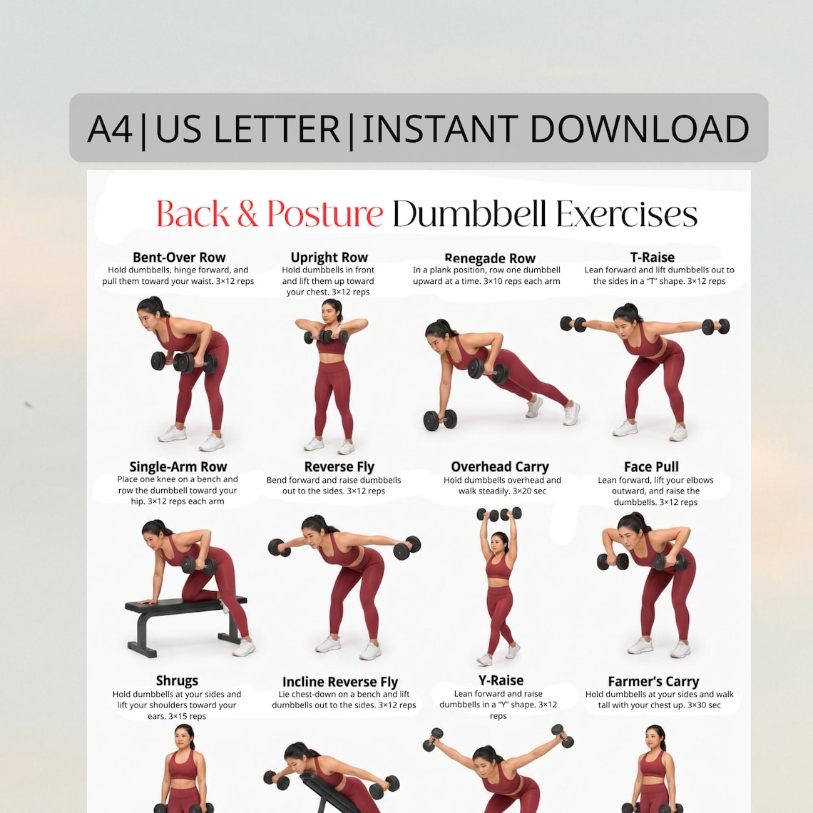 Dumbbell Back & Posture Workout Poster | Beginner Upper Back Dumbbell ...
