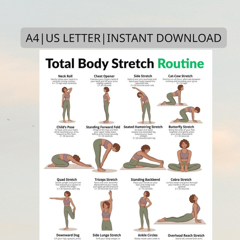 Full Body Stretch Poster With Flexibility Exercises | Home Stretch ...
