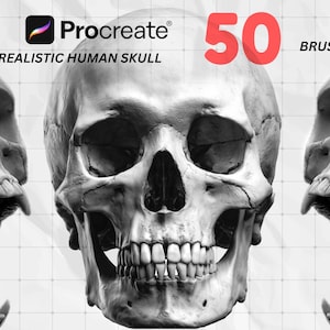 Procreate Brushes | 50 Realistic Skull Stamp Set | Tattoo Design Gothic Art Anatomy Drawing Halloween Clipart Dark Art Stamps