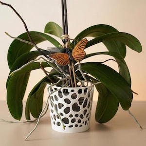 3D Printed Planter, Modern Voronoi Orchid Pot in Eco-Friendly PLA Plastic