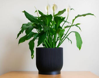 Jarrón minimalista de interior con drenaje y diseño acanalado moderno / Estilo escandinavo y de mediados de siglo