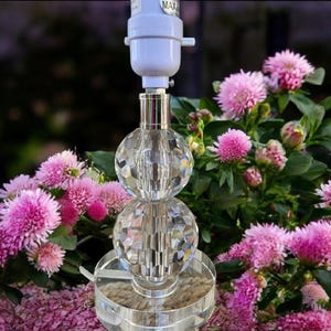 May include: A clear crystal table lamp with a white lamp holder and a silver metal base. The lamp features two spherical crystal accents. The lamp is surrounded by pink flowers and green leaves, creating a decorative and elegant aesthetic.